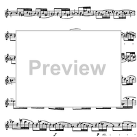 Preliminary studies to 'The Accomplished Clarinettist' Vol. 2 - Clarinet