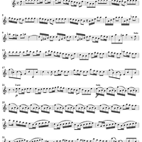 Violin Concerto in A Minor - Violin 1
