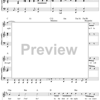 In the Dark Of the Night