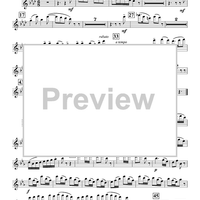 Concerto in E-flat - Flute 1