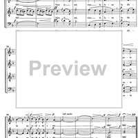 Zogo de fioi - Score