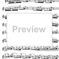 The Accomplished Clarinettist Vol. 1 - Clarinet