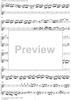 Concerto in E Minor Op. 37 no. 6 - Flute/Violin