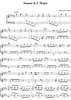 Sonata in E major    (K20/P76/L375)