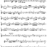 Sonata No. 11 in D Minor - Flute