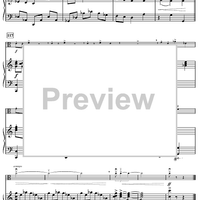 Harry's Wondrous World