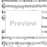 Concertino giocoso Op. 12 - Trumpet in C 1