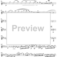 String Quartet No. 11 in F Minor, Op. 95 - Violin 2