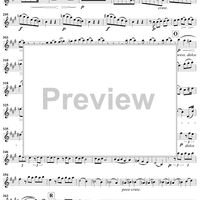 Piano Quartet No. 2 in A Major, Op. 26 - Violin