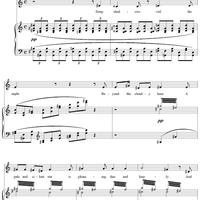 Without Sunlight, No. 5: Elegy