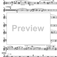 Choral Selection from Whistle Down The Wind - Flute