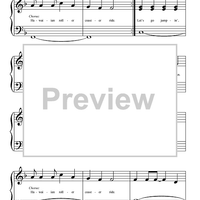 Hawaiian Roller Coaster Ride