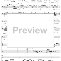 Concerto in A Minor - Full Score