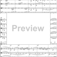 String Quintet in C Major op. 29 ("Storm") - Full Score