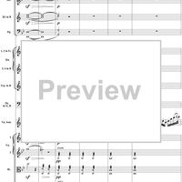 Violin Concerto No. 1, Movement 1 - Score