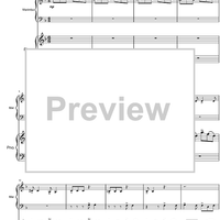 Argentinian Rhapsody - Score