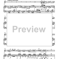 Variations on “Là ci darem la mano”