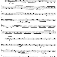 Cello Sonata No. 6 in B-flat Major, RV46 - Continuo