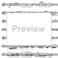 Sonata in D minor - Cello