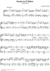 Sonata in D minor, K. 444
