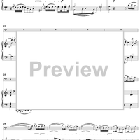 Concerto in A Minor - Full Score