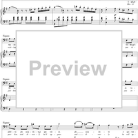 Recitative and Duet: Dunque io son la fortunata?, No. 9 from "Il Barbiere di Siviglia"