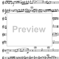 Horn Concerto - Horn in F