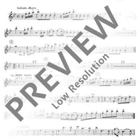 Organ Concerto No. 6 B Major in B flat major - Flute [treble Recorder] I