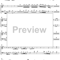 Concerto in E Minor Op. 37 no. 6 - Oboe & Bassoon
