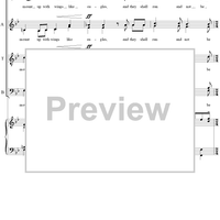 Have You Not Known? Have You Not Heard?