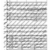 Il Vitalino raddoppiato - Full Score