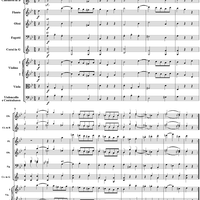 Symphony No. 40 in G Minor, Movement 3 - Full Score