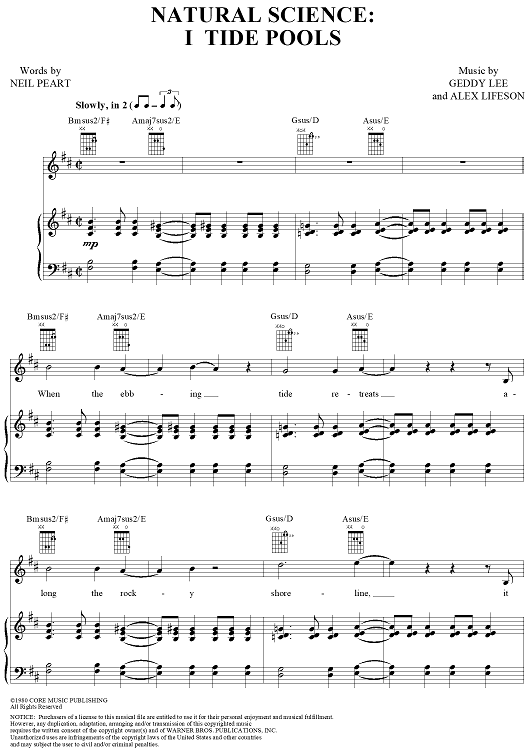 Natural Science, Part 1:  Tide Pools