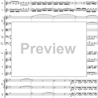 Brandenburg Concerto No. 2: (Allegro) - Score