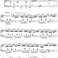 La Source, Act 1, No. 12b: Nouvelle Variation de Naïla