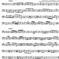 Sonata d minor - Bass