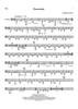 Panoramic - Tuba