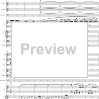 Piano Concerto No. 21 in C Major ("Elvira Madigan"), Movement 1 (K467) - Full Score