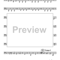 Tin Roof Blues - Tuba