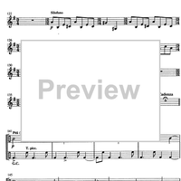 Nocturne et Danse Op.58 No. 2 - Percussion