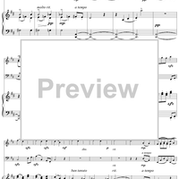 Slavonic Dance no. 16