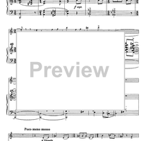 Variation on Béla Bartók theme - Score