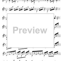 Le Fandango Varié Op.16