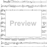 Flute Sonata in D Major, Op. 2, No. 5 - Piano Score