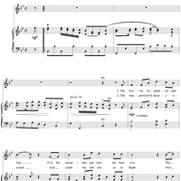 The Traveller Benighted