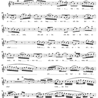 "Frohe Hirten, eilt", Aria, No. 15 from Christmas Oratorio, BWV248 - Tenor