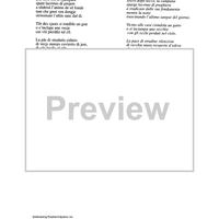 Su lis puartis de sere - Lyrics