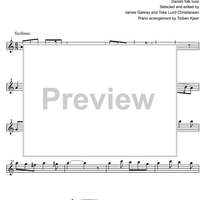 The Night Raven - Flute