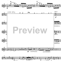 Sonata in D minor - Cello