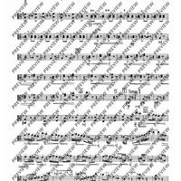 2. Concerto in C - Viola